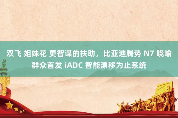 双飞 姐妹花 更智谋的扶助，比亚迪腾势 N7 晓喻群众首发 iADC 智能漂移为止系统